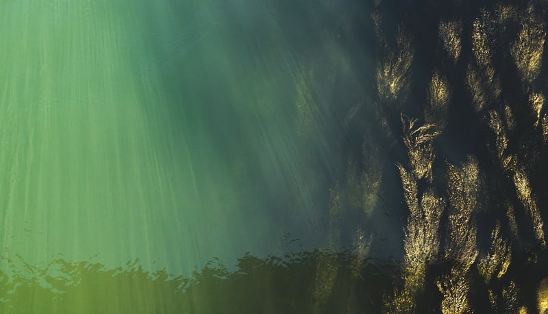 Deep Sea